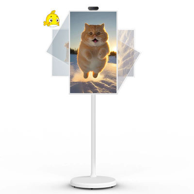 품질  21" Android 12 System Stand By Me TV Smart Broadcast Machine Touch Screen 공장